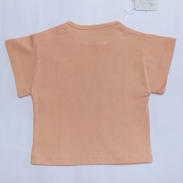 Camiseta Meia Malha Estampada Abelhas Rosas